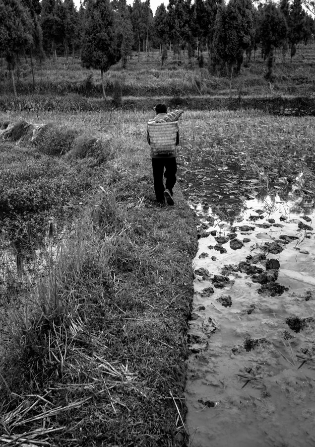 DSC09568副本_副本.jpg DSC09568副本_副本.jpg