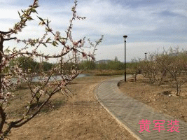 psb (2)_副本.gif psb (2)_副本.gif