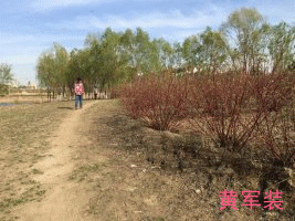 psb (5)_副本.gif psb (5)_副本.gif