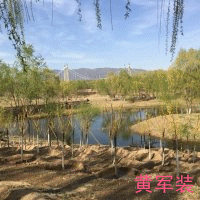 psb (7)_副本.gif psb (7)_副本.gif