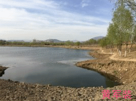 psb (8)_副本.gif psb (8)_副本.gif