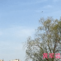psb (9)_副本.gif psb (9)_副本.gif