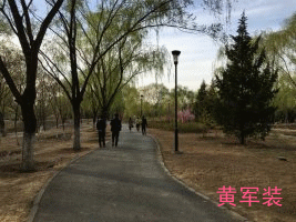 psb_副本.gif psb_副本.gif